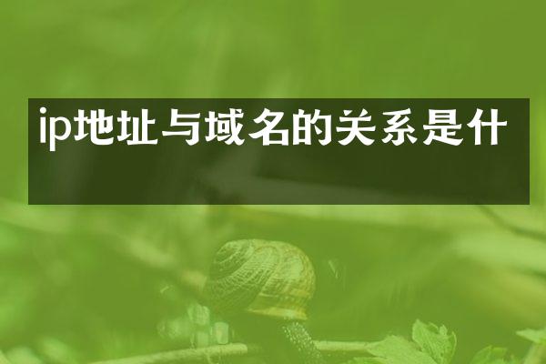 ip地址与域名的关系是什么