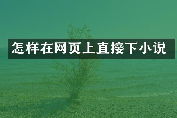 怎样在网页上直接下小说