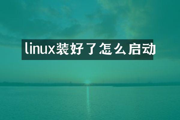 linux装好了怎么启动