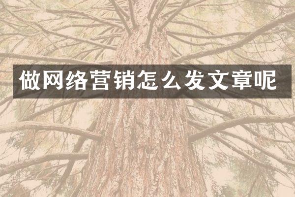 做网络营销怎么发文章呢