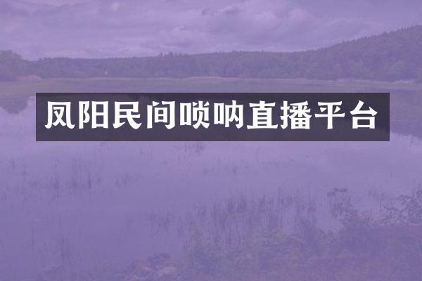 凤阳民间唢呐直播平台
