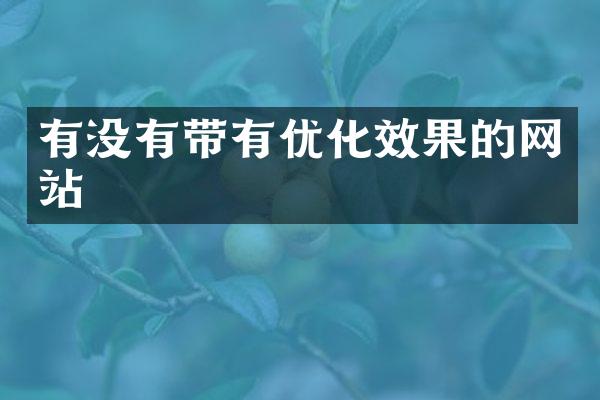 有没有带有优化效果的网站