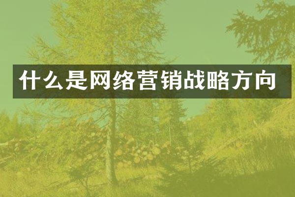 什么是网络营销战略方向