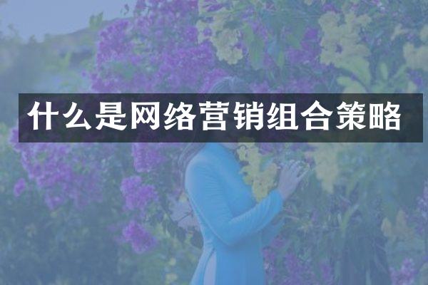 什么是网络营销组合策略