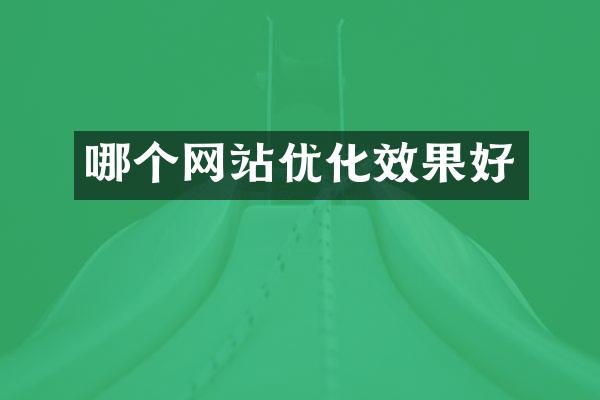 哪个网站优化效果好