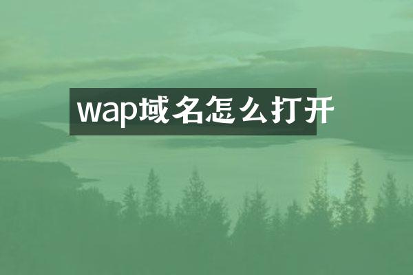 wap域名怎么打开