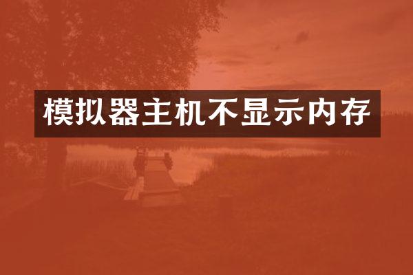 模拟器主机不显示内存