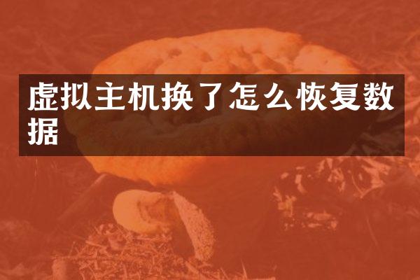 虚拟主机换了怎么恢复数据