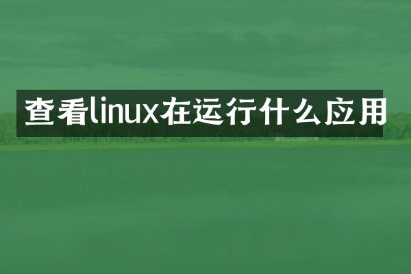 查看linux在运行什么应用