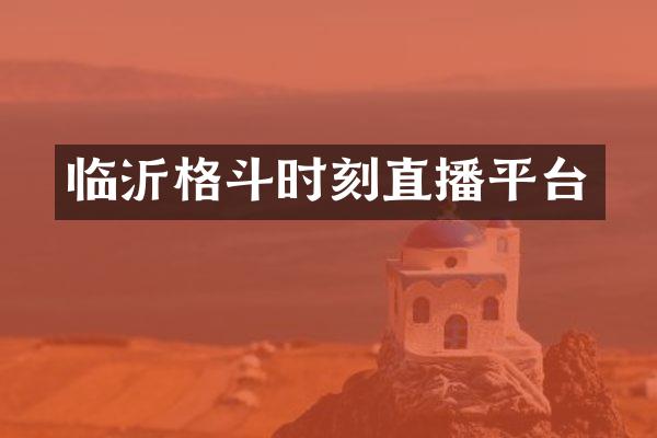 临沂格斗时刻直播平台