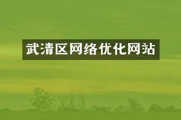 武清区网络优化网站