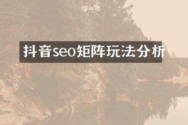 抖音seo矩阵玩法分析