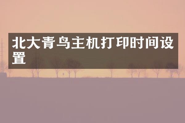 北大青鸟主机打印时间设置