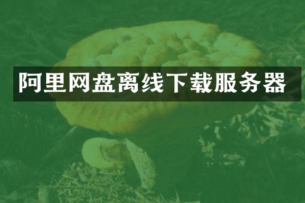 阿里网盘离线下载服务器