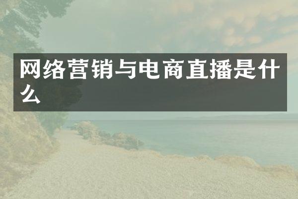 网络营销与电商直播是什么
