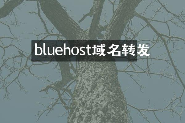 bluehost域名转发