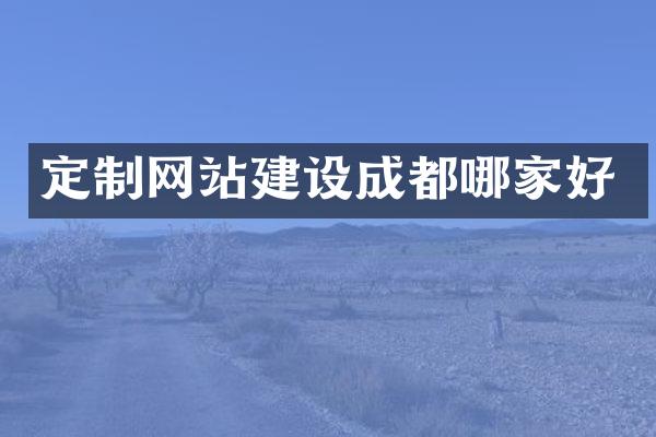 定制网站建设成都哪家好