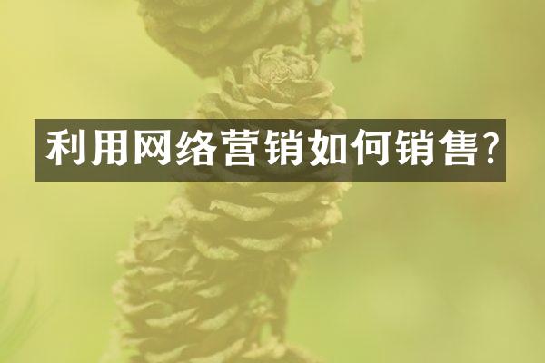利用网络营销如何销售?