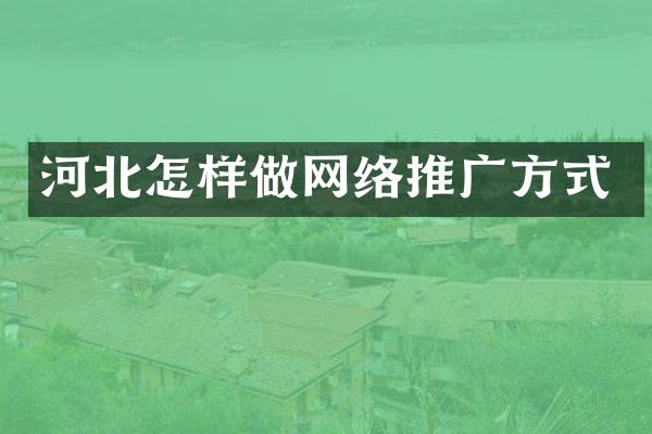 河北怎样做网络推广方式