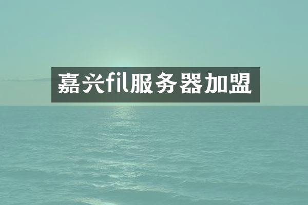 嘉兴fil服务器加盟