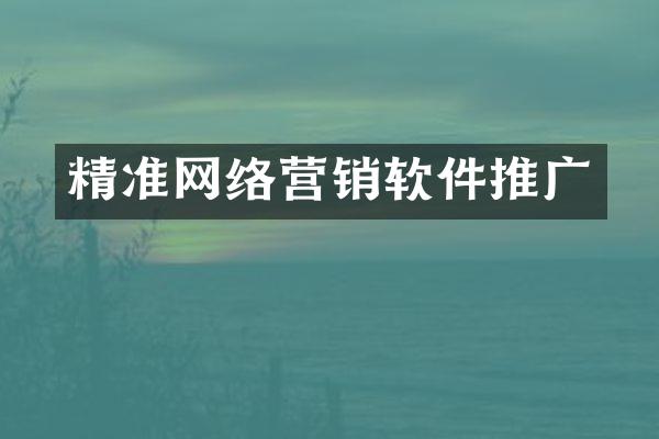 精准网络营销软件推广