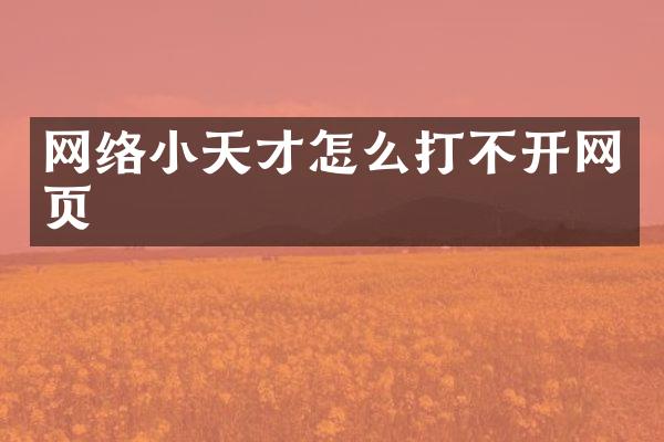 网络小天才怎么打不开网页