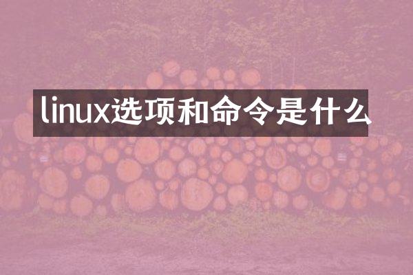 linux选项和命令是什么