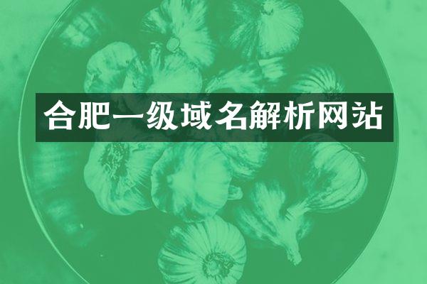 合肥一级域名解析网站