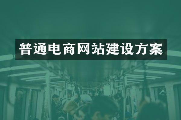 普通电商网站建设方案
