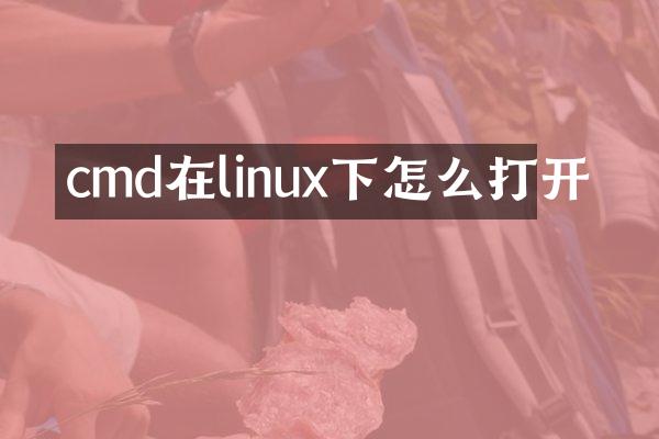 cmd在linux下怎么打开
