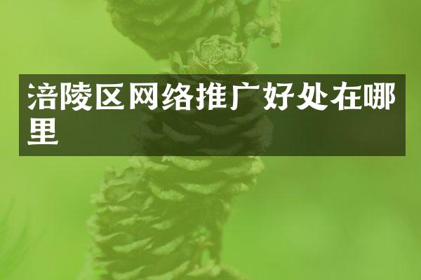 涪陵区网络推广好处在哪里
