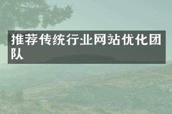 推荐传统行业网站优化团队