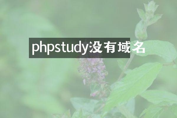 phpstudy没有域名