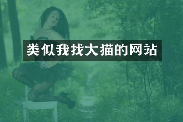 类似我找大猫的网站