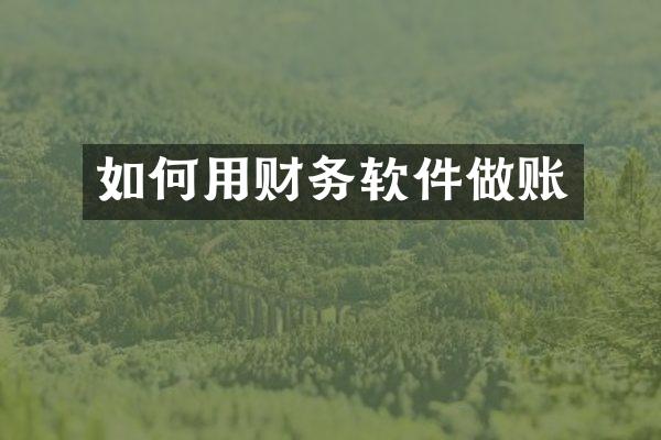 如何用财务软件做账