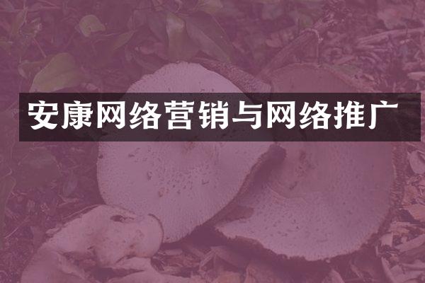 安康网络营销与网络推广