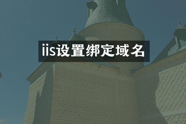 iis设置绑定域名