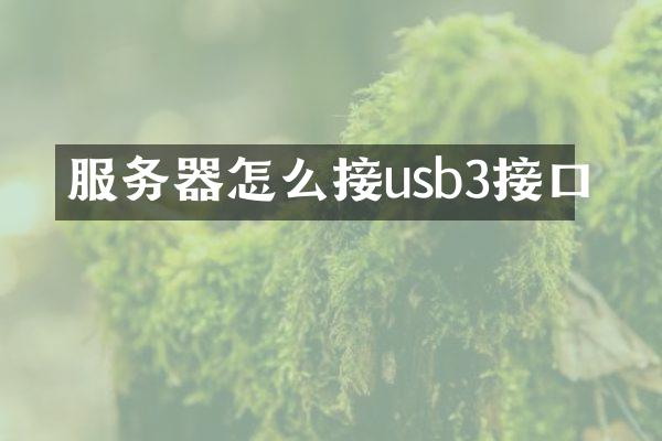 服务器怎么接usb3接口