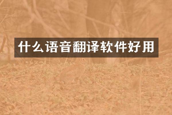什么语音翻译软件好用
