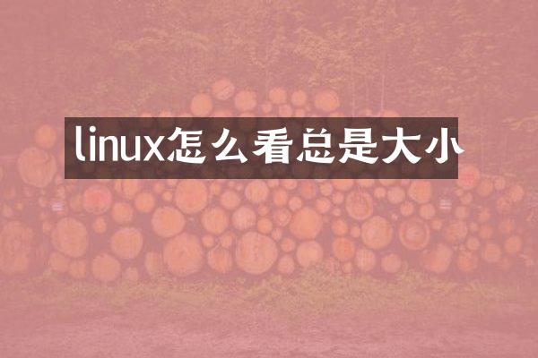 linux怎么看总是大小