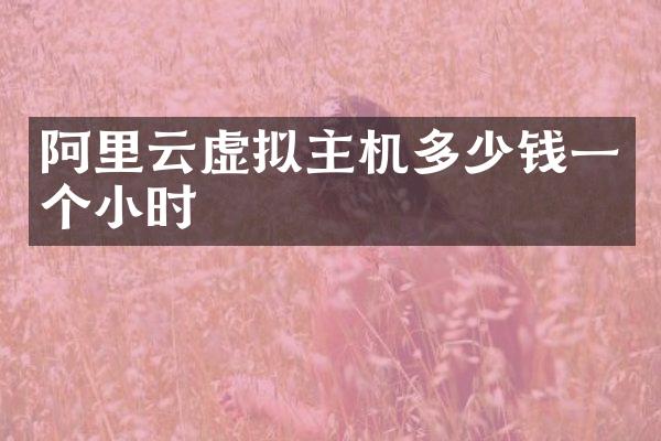 阿里云虚拟主机多少钱一个小时