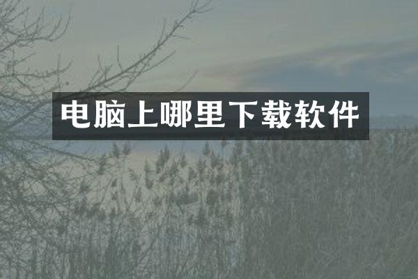 电脑上哪里下载软件