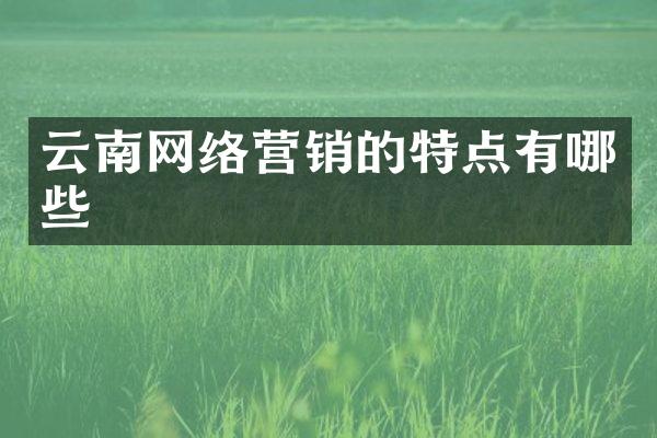 云南网络营销的特点有哪些