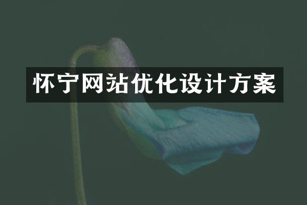 怀宁网站优化设计方案