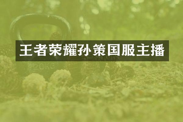王者荣耀孙策国服主播