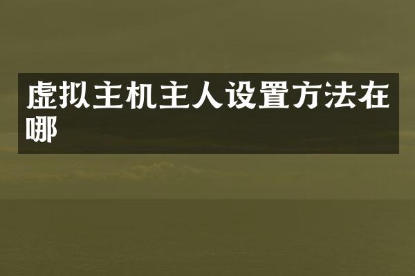 虚拟主机主人设置方法在哪