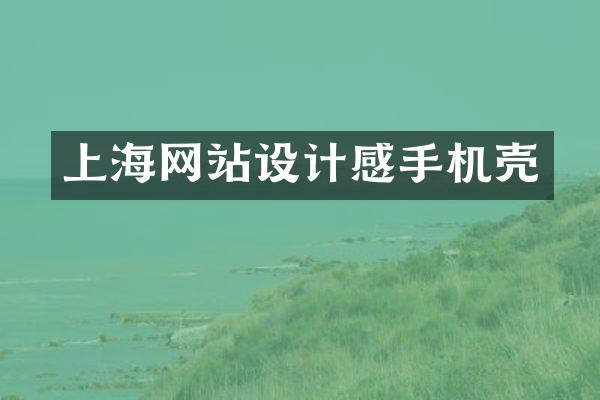 上海网站设计感手机壳