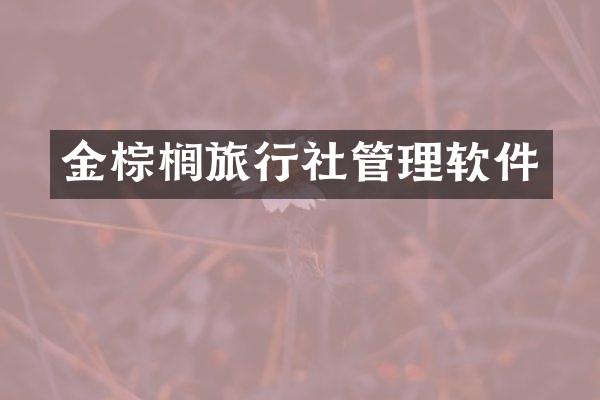 金棕榈旅行社管理软件