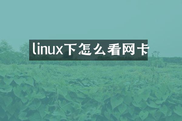 linux下怎么看网卡