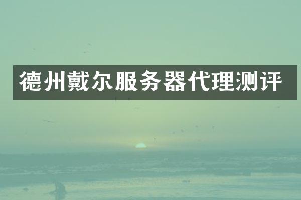 德州戴尔服务器代理测评